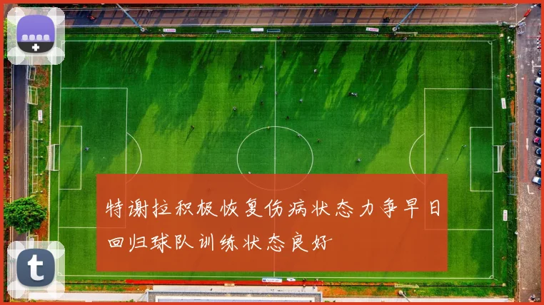 特谢拉积极恢复伤病状态力争早日回归球队训练状态良好